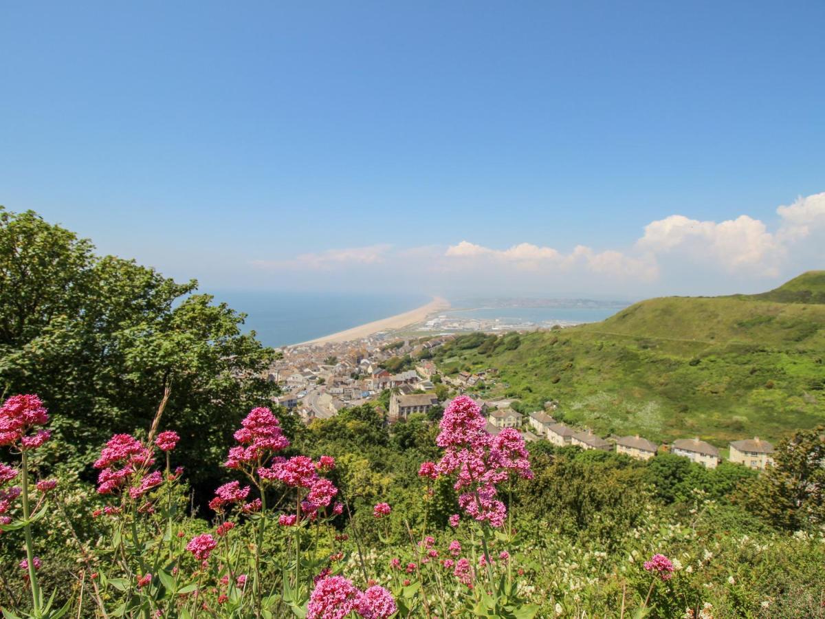 Lyme View Vakantiehuis *